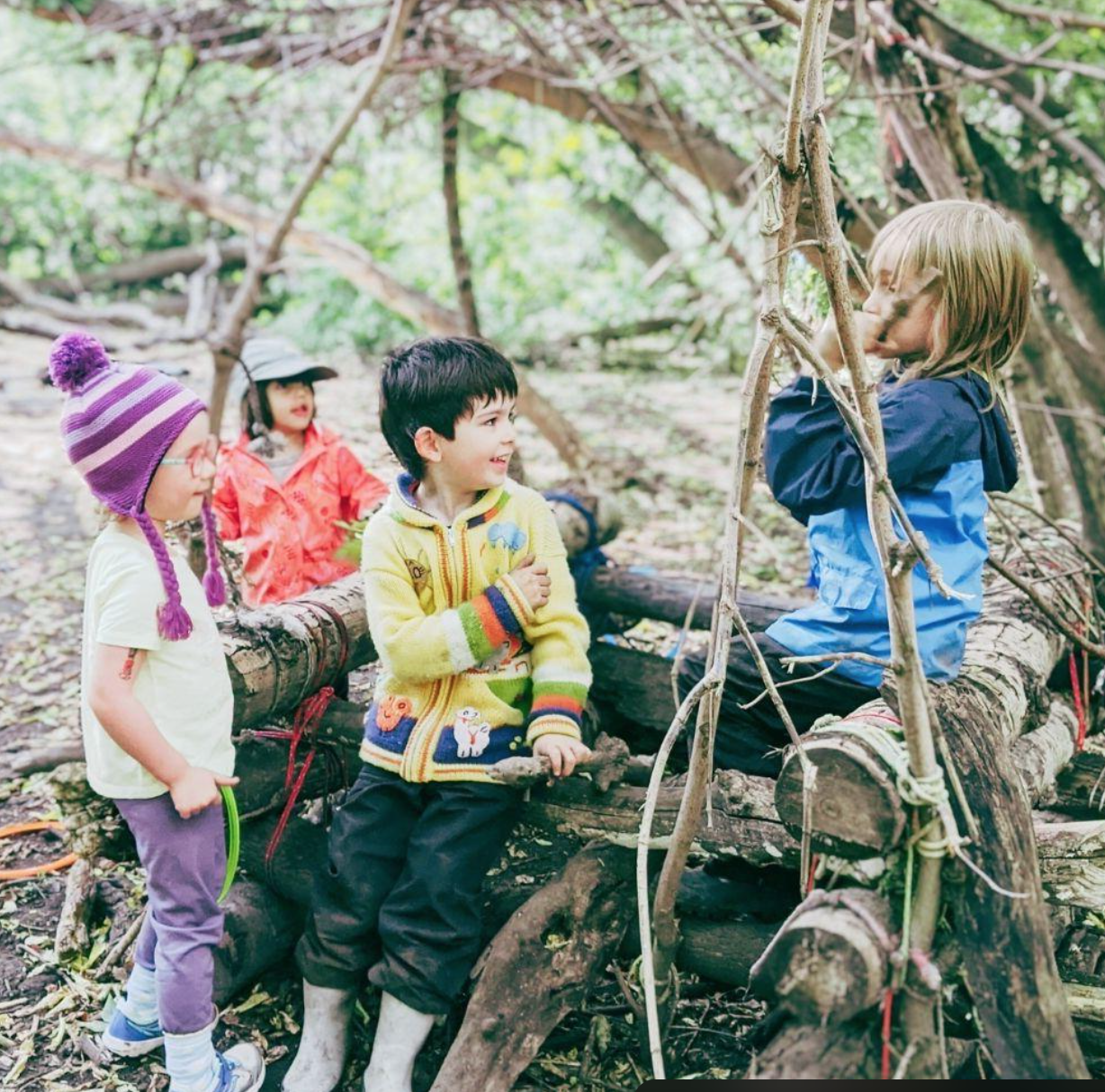 children playing in the woods