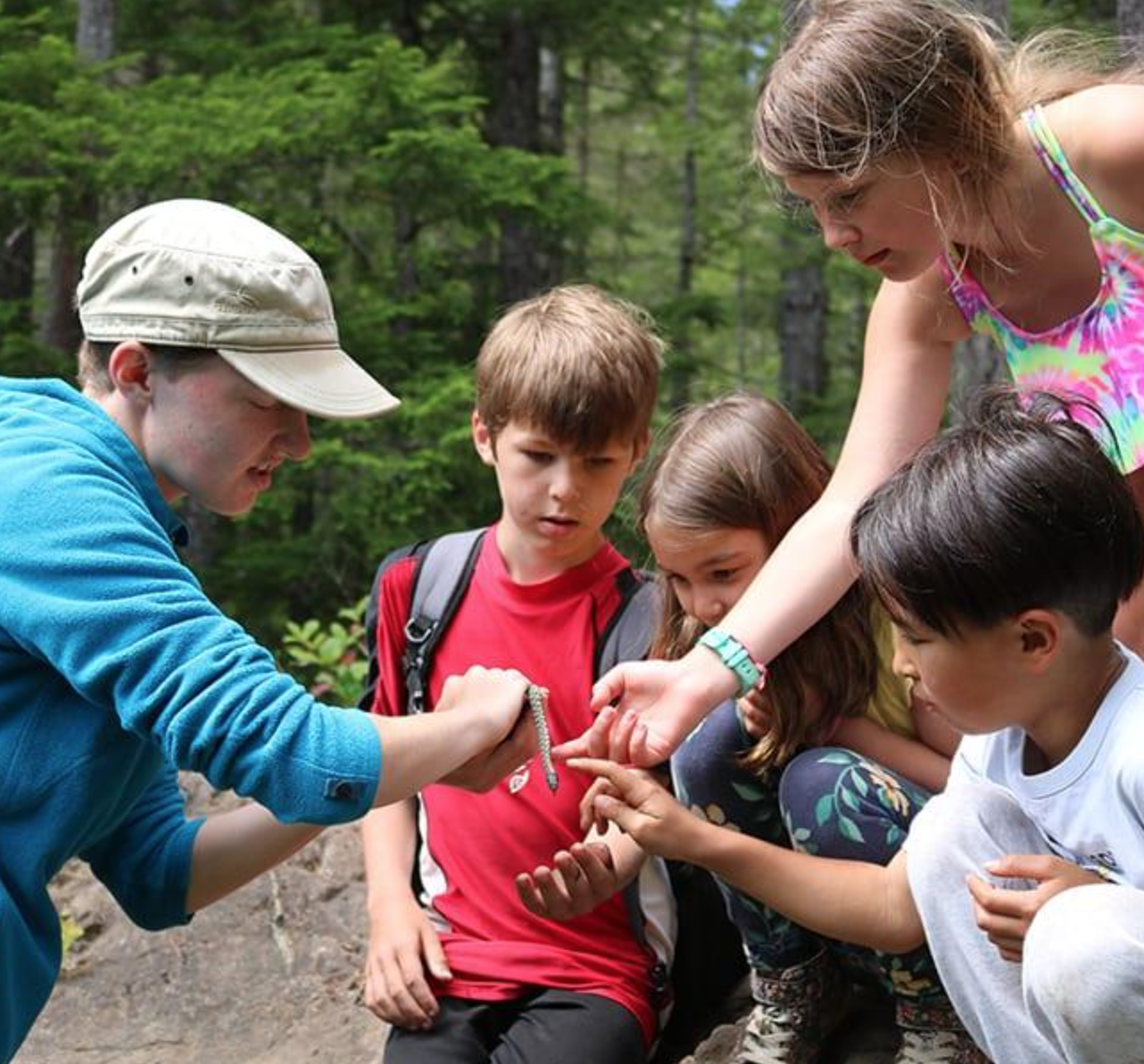 Children examining a snake in the forest