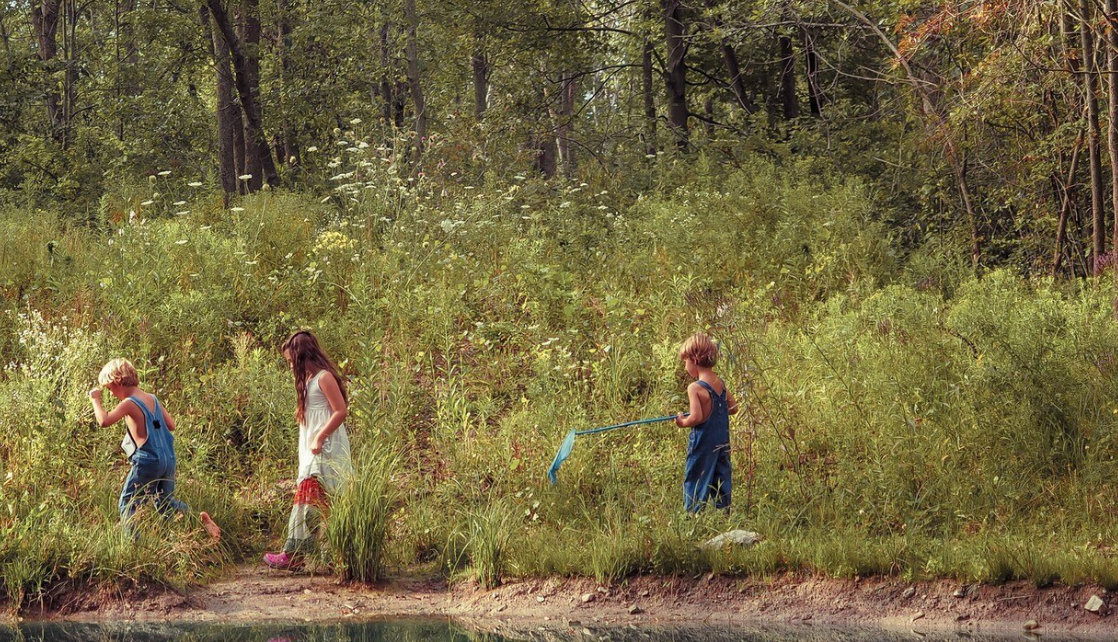 Children playing beside forest stream