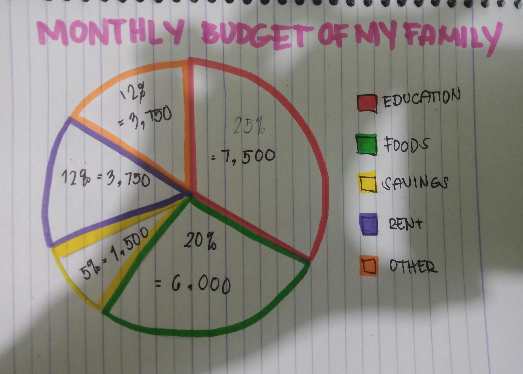family budget piechart